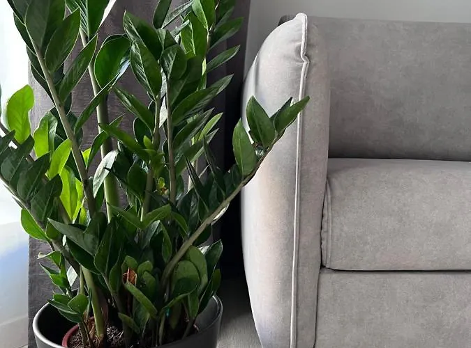 Bed & Breakfast Kamienica 22 Old Town Gdańsk